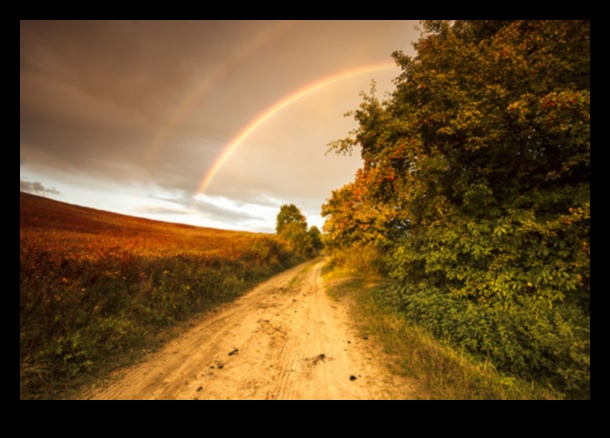 Rainbow Radiance: Tehnici pentru fotografii în culori vibrante