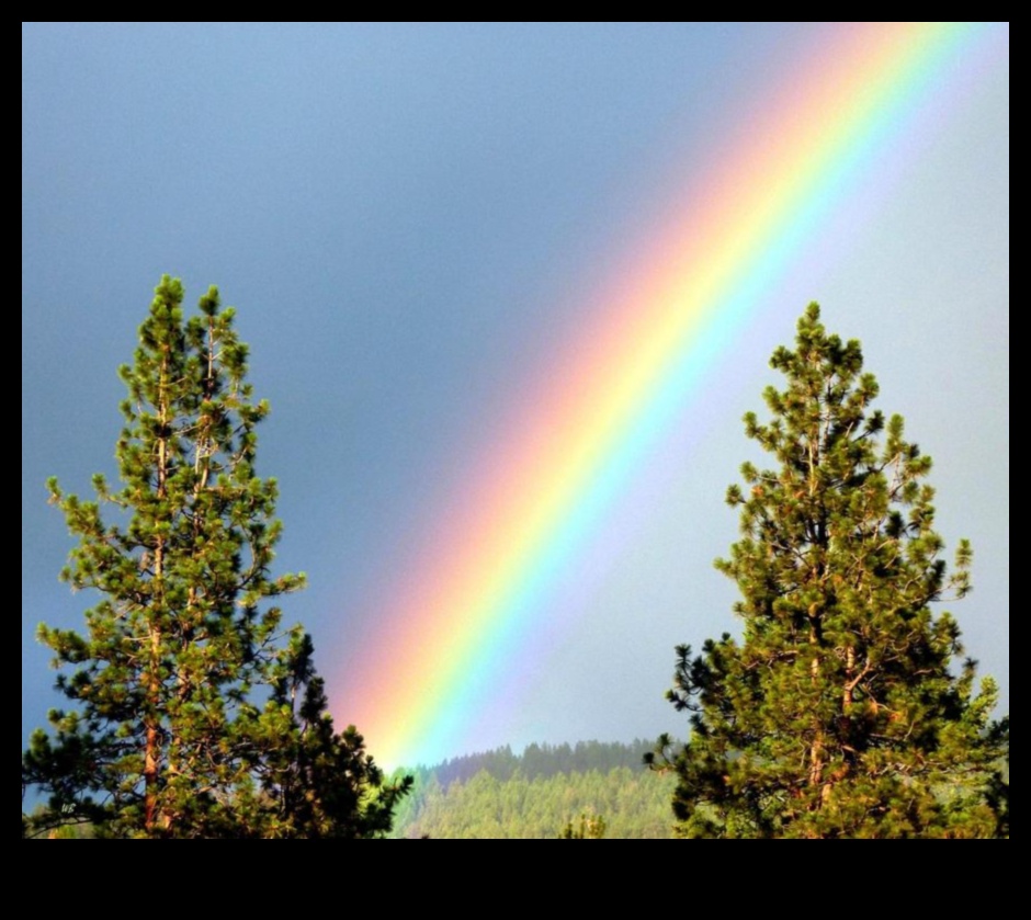 Rainbow Radiance: Tehnici pentru fotografii în culori vibrante